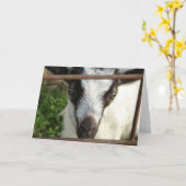 Kleeblatt Karte (Gelbe Blume)