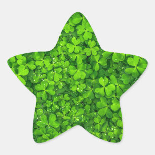 Kleeblatt-Klee-Grün-irisches Symbol Irland Stern-Aufkleber