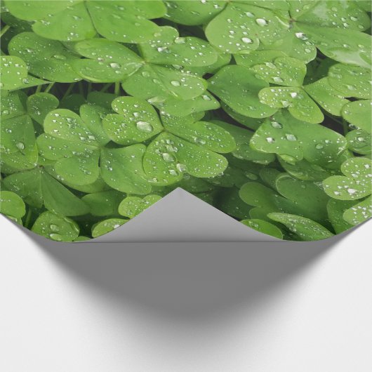 Kleeblatt-Kleeblatt Geschenkpapier (Ecke)