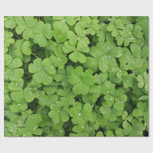 Kleeblatt-Kleeblatt Geschenkpapier (Flach)