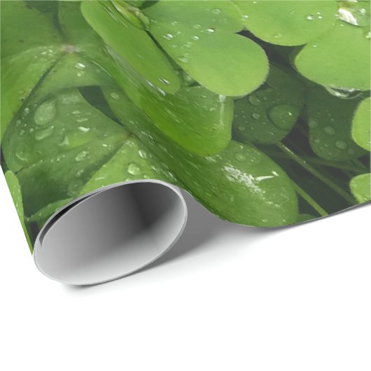 Kleeblatt-Kleeblatt Geschenkpapier (Rolleneckpunkt)