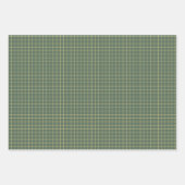 Kleeblatt & Lines Festivals Grün/Gelb Set 3 Geschenkpapier Set (Vorderseite 2)