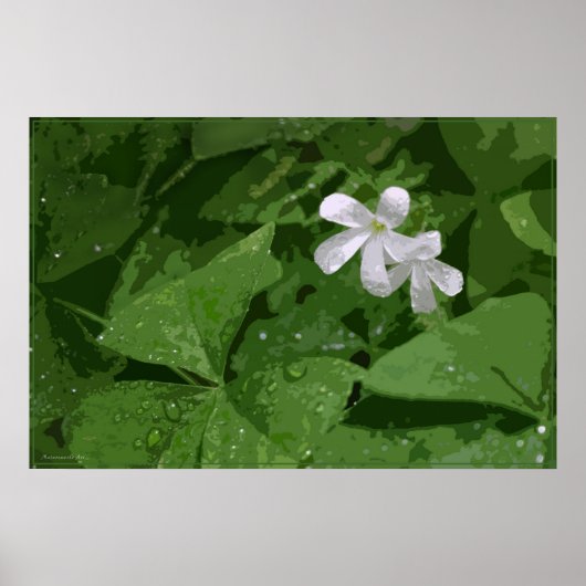 Kleeblatt-Poster ohne Text -36x24 - oder kleiner Poster (Vorne)