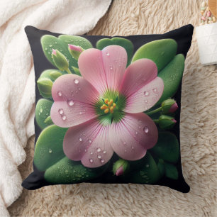 Kleeblatt, Rosa und grüne Oxalis Kissen