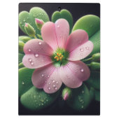 Kleeblatt, Rosa und grüne Oxalis Klemmbrett (Rückseite)