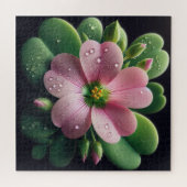 Kleeblatt, Rosa und grüne Oxalis Puzzle (Horizontal)