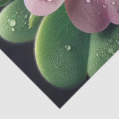 Kleeblatt, Rosa und grüne Oxalis Seidenpapier (Detail)