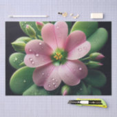 Kleeblatt, Rosa und grüne Oxalis Seidenpapier (Handwerk)