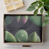 Kleeblatt, Rosa und grüne Oxalis Seidenpapier (Geschenk)