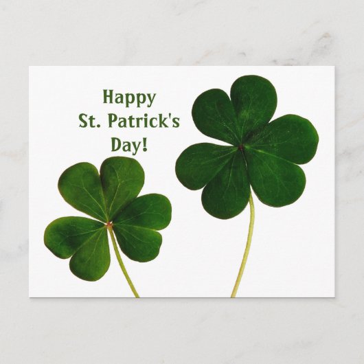 Kleeblatt St. Patrick's Day Postcard Postkarte (Vorderseite)
