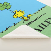 Kleeblatt zur Holzbeförderung Sherpadecke (3/4)