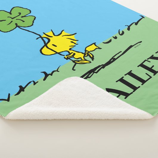 Kleeblatt zur Holzbeförderung Sherpadecke (3/4)