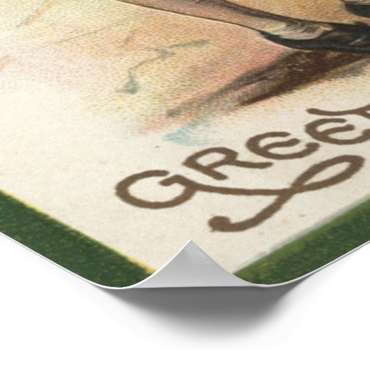 Kleeblätter für Glück Poster (Ecke)