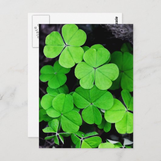 Kleeblätter Postkarte (Vorne/Hinten)