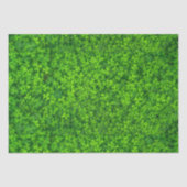 Kleeblätter Seidenpapier (Vorderseite)