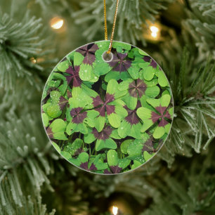 Kleeblattfleck, Sauerampfer, mit Tau Keramik Ornament