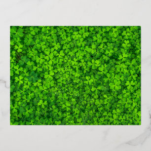 Kleeblattgrün, St. Patricks Tag, Folien Feiertagspostkarte