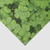 KleeblattSeidenpapier-Grünnatur Seidenpapier (Ausschnitt)