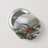 Kleiber auf Snowy-Niederlassung im Winter Button (Vorne & Hinten)
