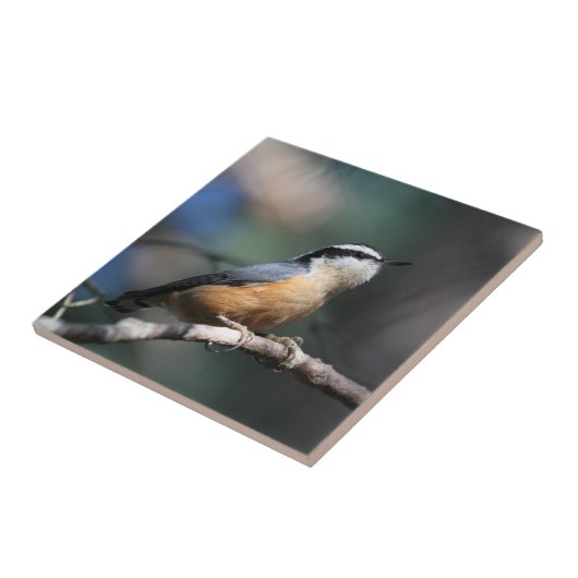 Kleiber Fliese (Seite)