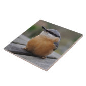 Kleiber-Foto Fliese (Seite)