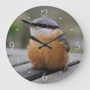 Kleiber-Foto Große Wanduhr