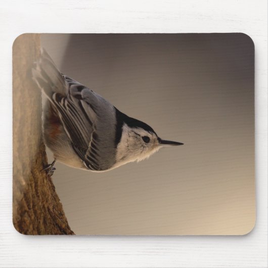 Kleiber_Mauspad Mousepad (Vorne)
