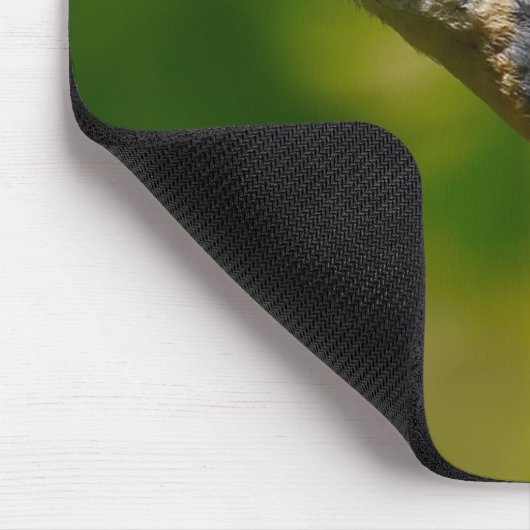 Kleiber Mousepad (Ecke)