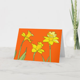 Kleidung auf Orange