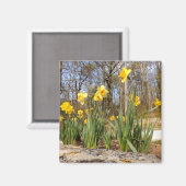 Kleidung im Ostermagnet Magnet (Vorderseite/Rückseite)