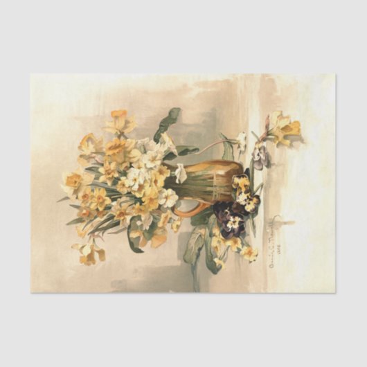 Kleidung Seidenpapier (Vorderseite)