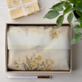 Kleidung Seidenpapier (Geschenk)