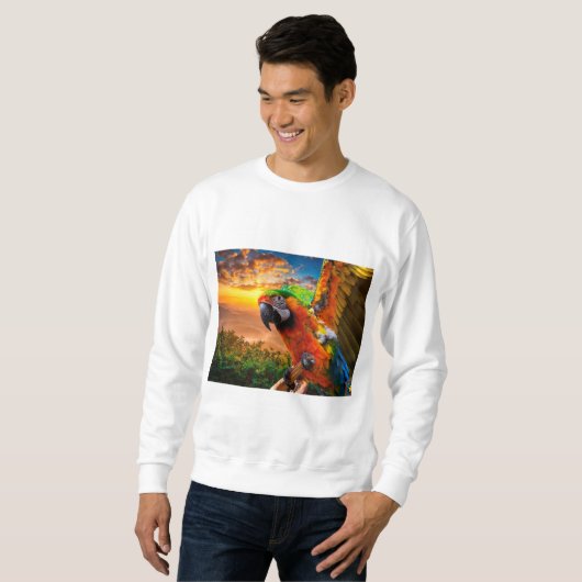 Kleidung und Schuhe > Männer > Kleidung > Schuhe & Sweatshirt (Vorne ganz)