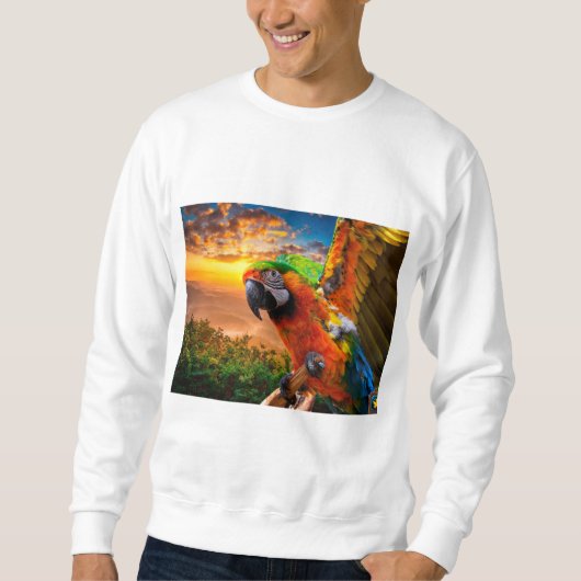 Kleidung und Schuhe > Männer > Kleidung > Schuhe & Sweatshirt (Vorderseite)