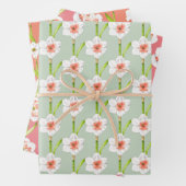 Kleidungsstücke auf einem Set aus Umschlagpapier ( Geschenkpapier Set (Beispiel)