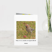 Kleidungsstücke und Vogelschutzkarte Karte (Rückseite)