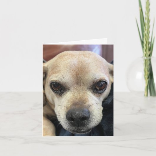 Klein, 4 Zoll x 5,6 Zoll geklappt Dankeschön Karte (Vorderseite)