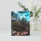 Klein Bonaire Postkarte (Stehend Vorderseite)