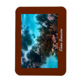 Klein Bonaire Reef Magnet (Vertikal)