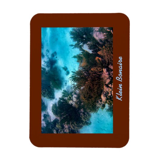 Klein Bonaire Reef Magnet (Vertikal)