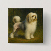 Klein Löwe Button (Vorderseite)
