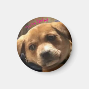 Klein, runder Sassy Leeloo! Magnet