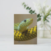 Klein schlank postkarte (Stehend Vorderseite)