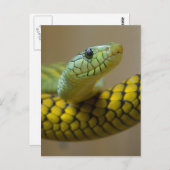 Klein schlank postkarte (Vorne/Hinten)