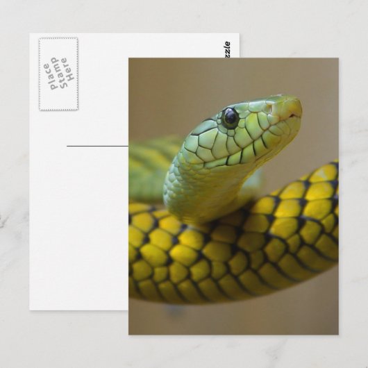 Klein schlank postkarte (Vorne/Hinten)