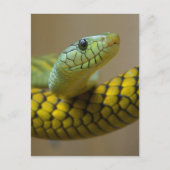 Klein schlank postkarte (Vorderseite)