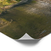 Klein Venedig und Regnitz Poster (Ecke)