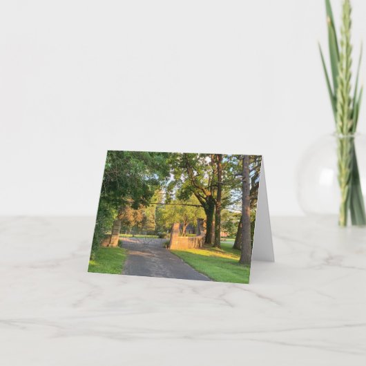 Kleine, 4" x 5,6" geklappte Grußkarte Dankeskarte (Vorderseite)