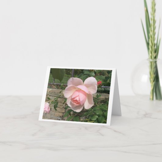 Kleine, 4" x 5,6" geklappte Grußkarte Dankeskarte (Vorderseite)