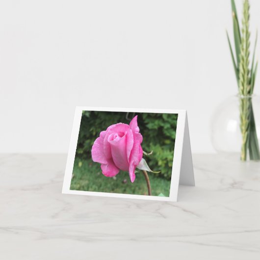 Kleine, 4" x 5,6" geklappte Grußkarte Dankeskarte (Vorderseite)